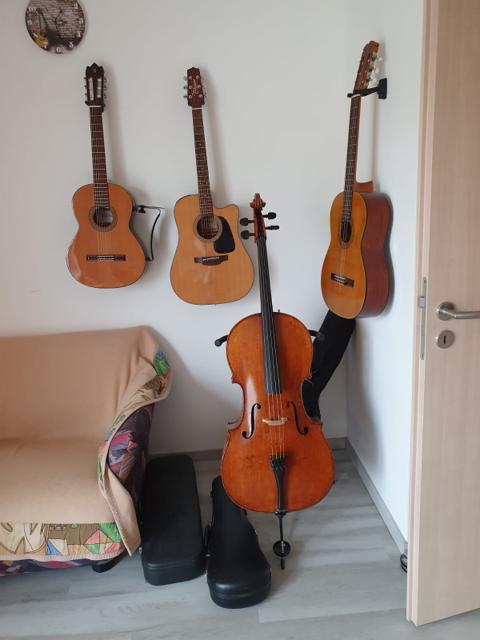 Mehrere Gitarren und ein Cello hängen ordentlich an einer Wand im Flur.